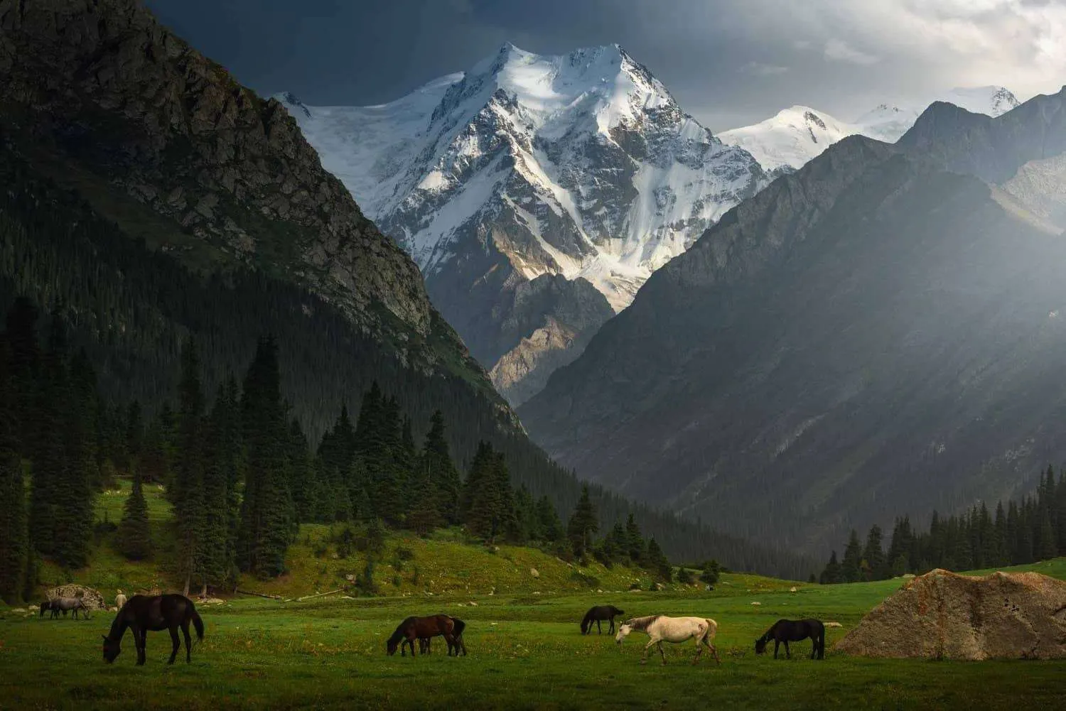 Celestial Mountains