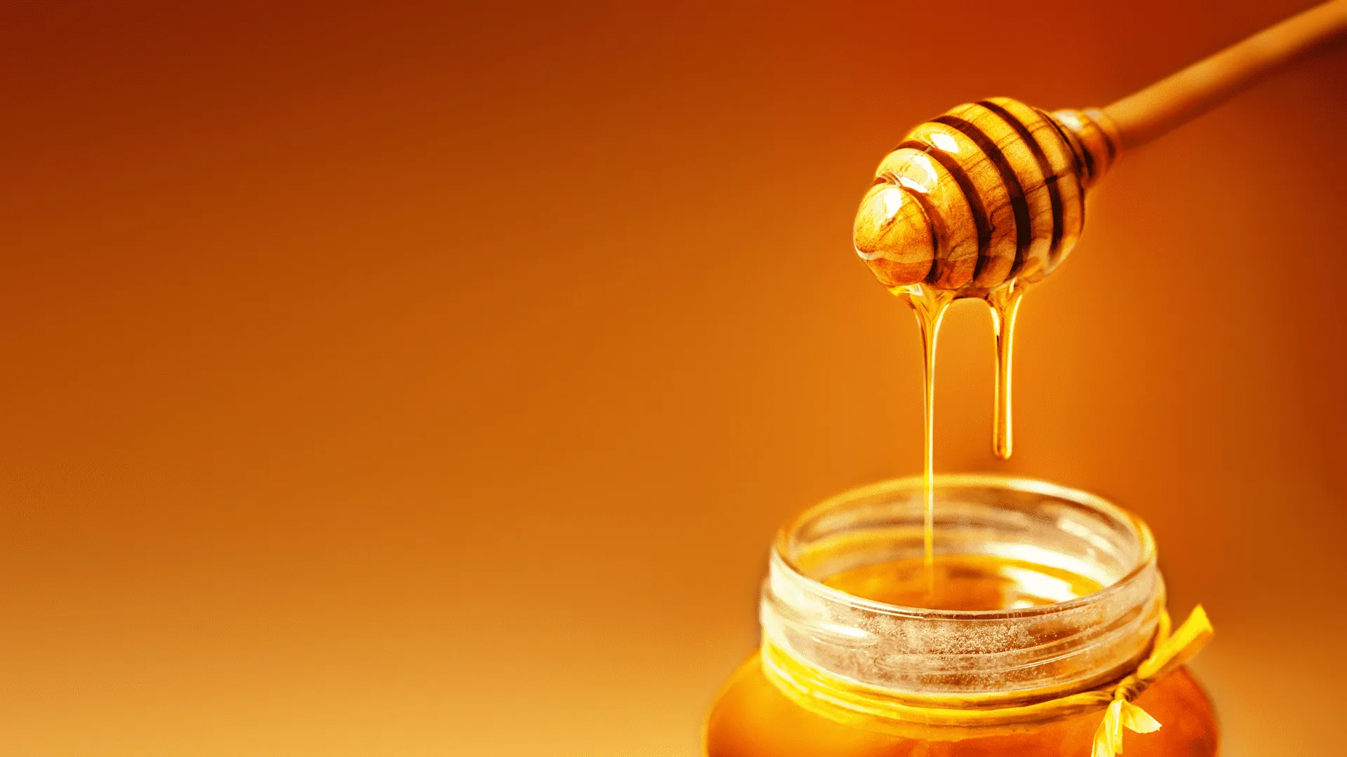 honey honey