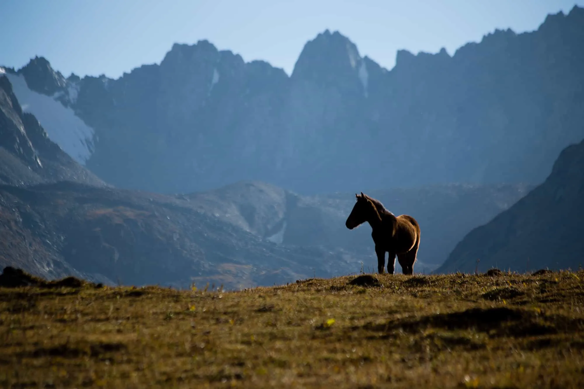 Karakol Outdoor Activities, Horseback Riding