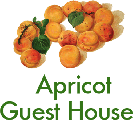 Apricot Guest House, Chychkan, Kyrgyzstan