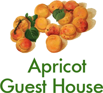 Apricot Guest House, Chychkan, Kyrgyzstan